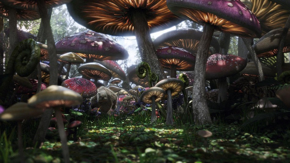 ALICE AU PAYS DES MERVEILLES