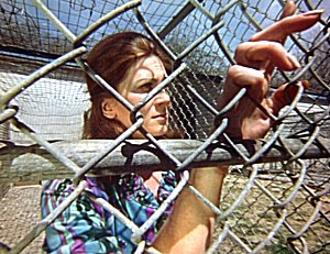 Season of the Witch (1972)
