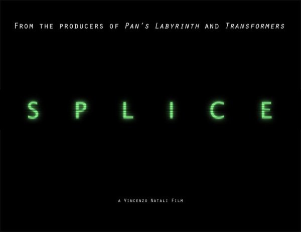 Splice