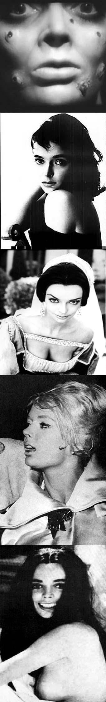 Blog de Barbara Steele  (voir ci-dessous) :