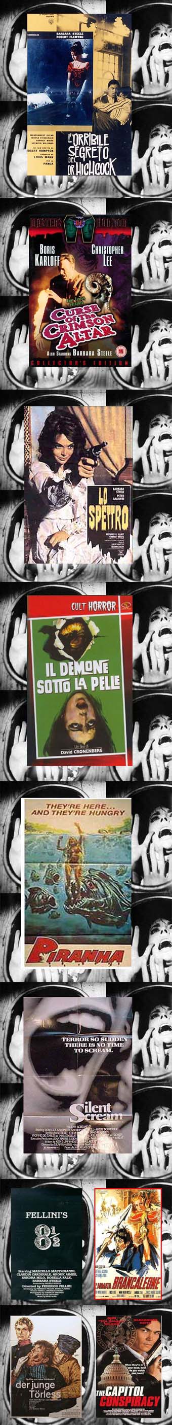 Blog de Barbara Steele  (voir ci-dessous) :