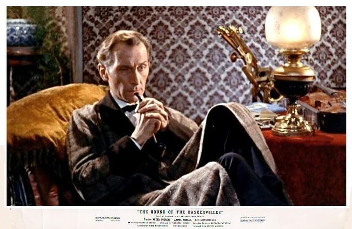 Le chien des Baskerville