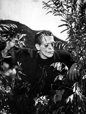 FRANKENSTEIN