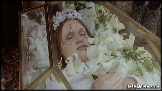 Dellamorte, Dellamore