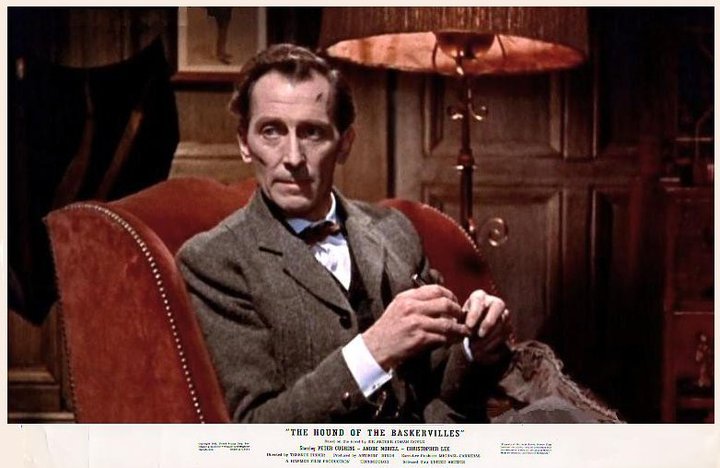 Le chien des Baskerville
