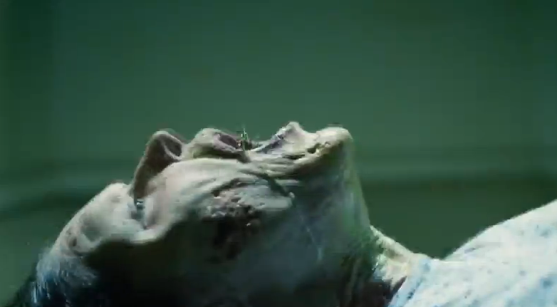 THE EXORCISM OF MOLLY HARtLEY