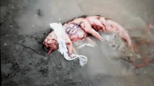 Le teaser du prochain Neill Blomkamp ("District 9")