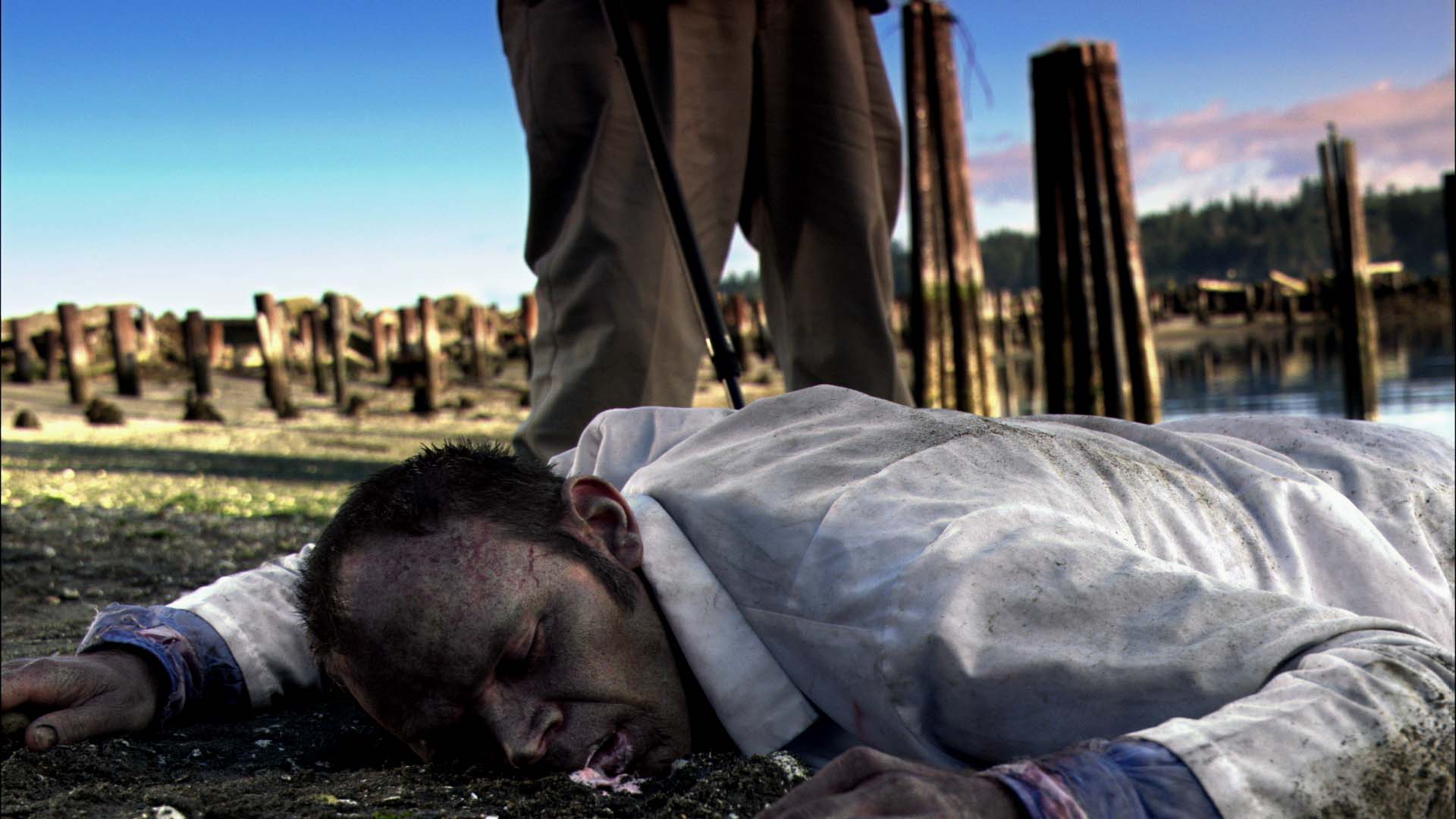 Zombies of Mass Destruction (2009)