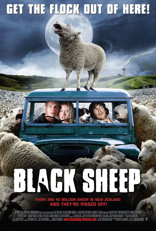 BLACK SHEEP