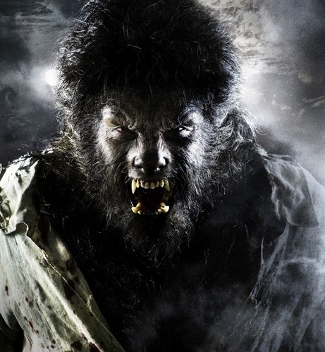 Wolfman