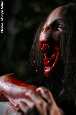 Ecrit et réalisé par Sean McEwen et Joe Anderson, "Albino Farm", mettant en scène des jeunes affrontant des mutants en pleine forêt est non seulement terminé, mais pourrait faire l'objet d'une séquelle.