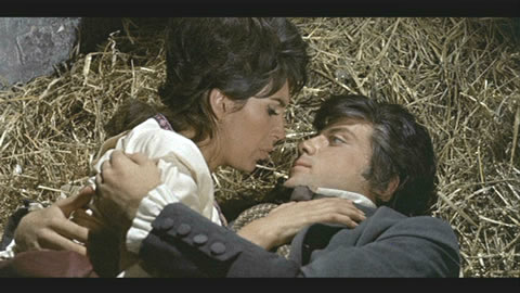 LE FASCINANT CAPITAINE CLEGG