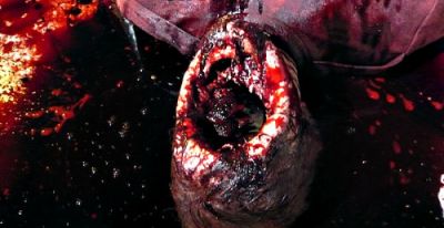 une "vraie" autopsie