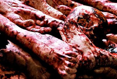 une "vraie" autopsie