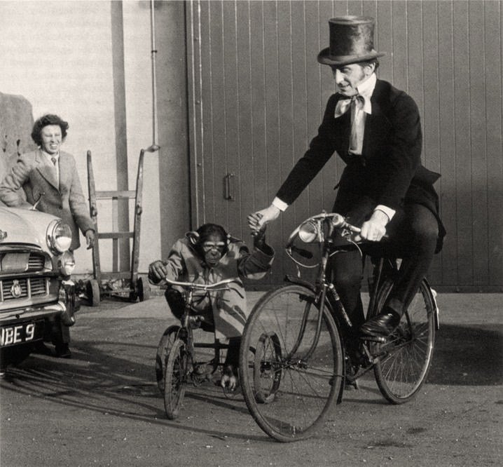 Peter Cushing en compagnie de son amical chimpanzé Lucy, durant le tournage de "La Revanche de Frankenstein" de terence Fisher (1958)