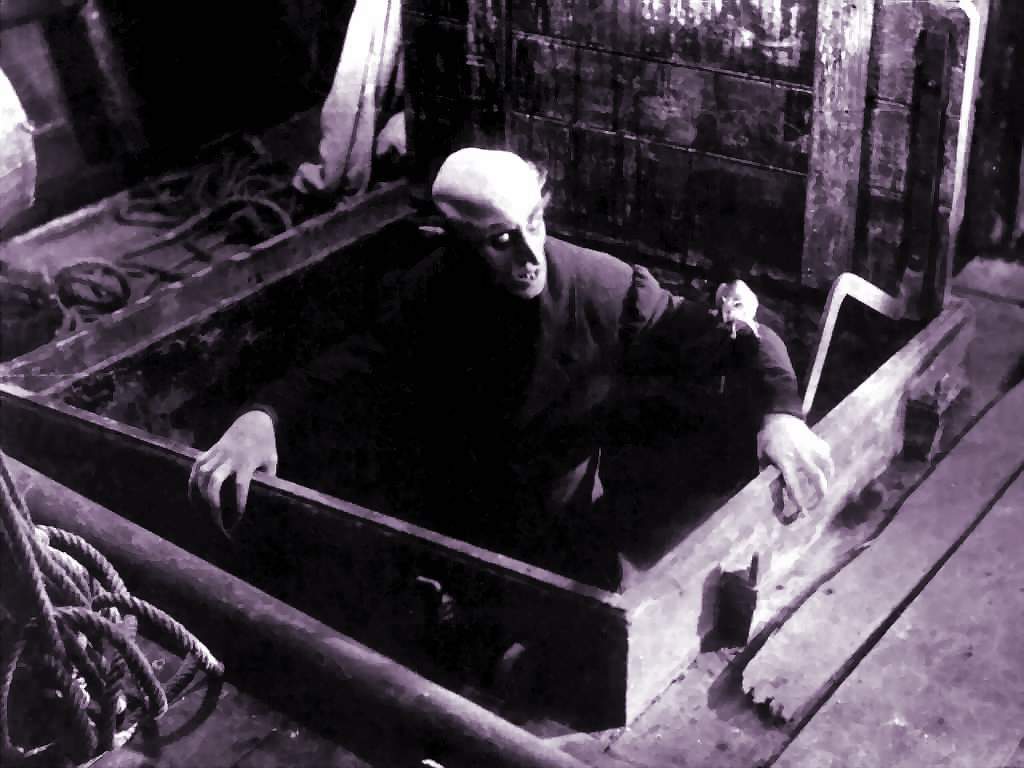 Nosferatu
