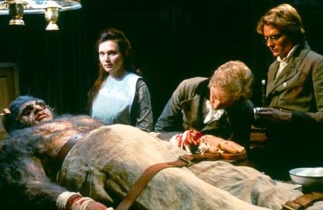 "Frankenstein et le monstre de l'enfer": le dernier Hammer gothique et le dernier Terence Fisher