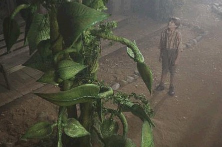 Réalisé en prises de vues réelles par Gary J. Tunnicliffe (auteur des SFX de "Candyman", "L'Exorciste : au commencement", etc), "Jack and the Beanstalk" est en tournage actuellement.... (suite ci-dessous)