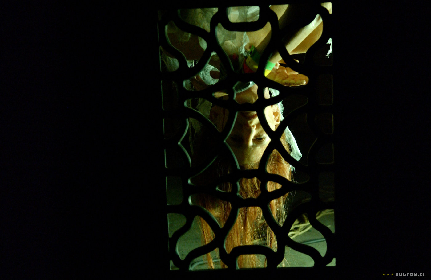 Rogue Pictures a engagé le scénariste Robert Adetuyi ("Steppin'") pour écrire le script d'un thriller pour ados dans la veine de "Disturbia".....