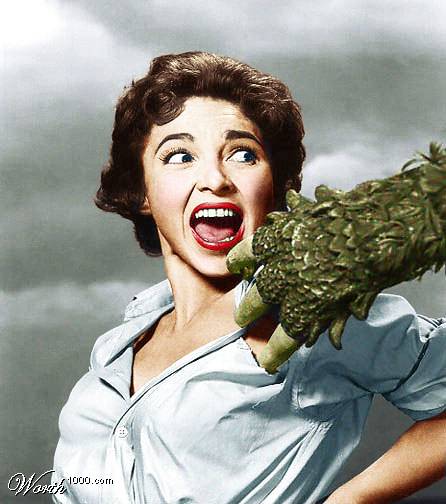 Curucu, Bête de l'Amazone