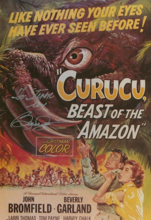 Curucu, Bête de l'Amazone