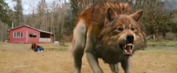 Twilight - Chapitre 2 : Tentation