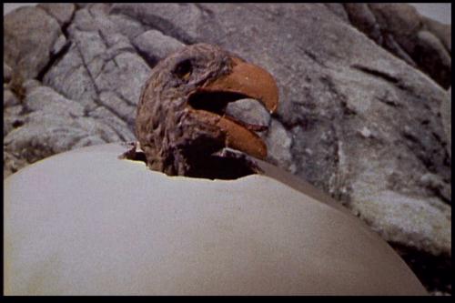 Le 7e Voyage de Sinbad