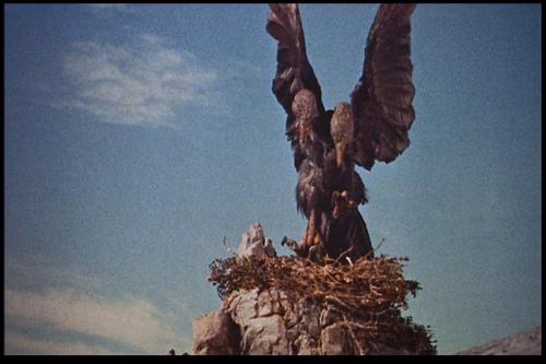 Le 7e Voyage de Sinbad