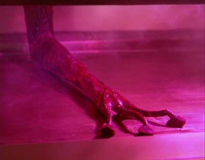 LA GUERRE DES MONDES