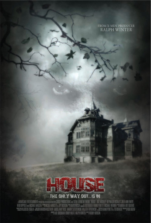 House (2008)