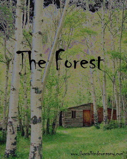 The Forest