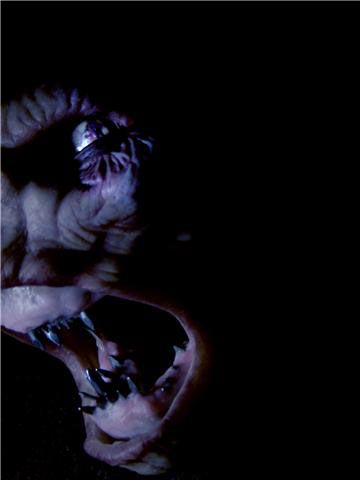 Après le thriller d'horreur "Nail Biter" où, prises dans une tornade, une mère et ses trois filles doivent faire face à d'effrayantes créatures, John Marrone va enchaîner sur un suspense de SF intitulé "The Mirror Watcher", qu'il tournera en décembre.