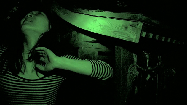"Paranormal Effect" (Ju-So), un direct-to-vidéo nippon, voit le voyage d'un couple américano-japonais au Pays du Soleil Levant tourner au cauchemar (suite ci-dessous)
