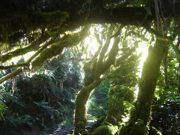 Auteur en 2006 du thriller d'horreur "Martyr", où un homme innocent, condamné par dieu, est persécuté pour sa foi, l'Anglais Shaun Troke s'apprête à tourner son second long-métrage, "Sparrow" (suite ci-dessous)