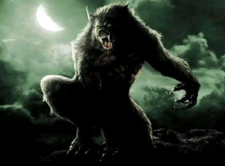 Doté d'un budget de 18M$, "Wolves" s'inscrit dans la ligné de "Twilight", mettant l'accent sur le parallèle entre la lycanthropie et l'éveil sexuel de l'adolescent (voir ci-dessous)