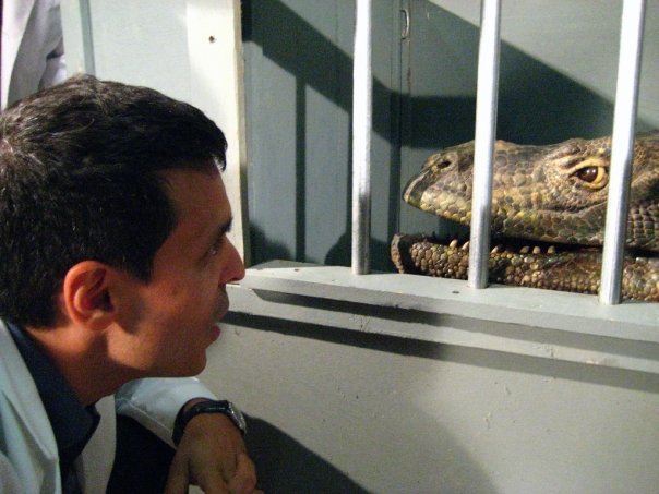 .... par un office gouvernemental pour créer, dans le plus grand secret, un animal hybride, poursuivant des expériences personnelles dans un effort pour exorciser son tragique  passé. Mêlant action, drame, humour et gore....