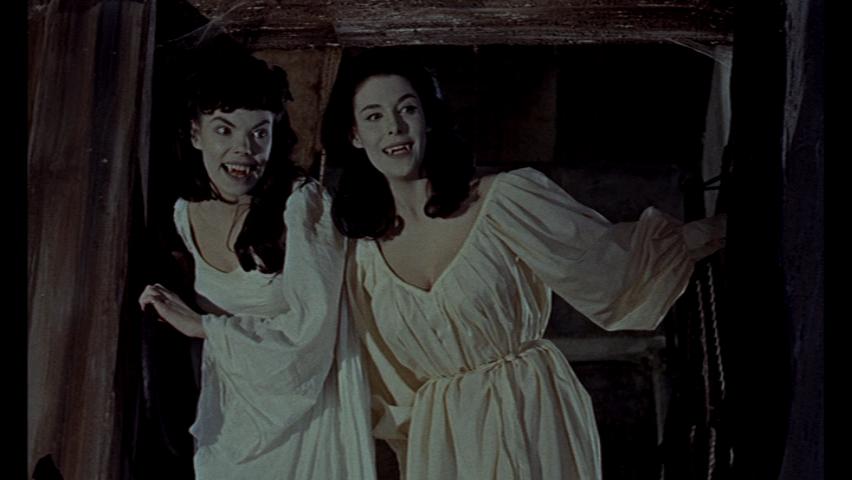 Les Maitresses de Dracula