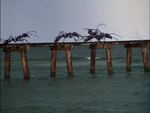 L'Empire des fourmis géantes