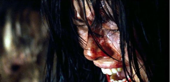 Mark L. Smith, le scénariste de "Vacancy" et  "The Hole 3D", a été engagé par Wyck Godfrey (la saga Twilight) pour écrire le script du remake américain de "Martyrs" de Pascal Laugier.