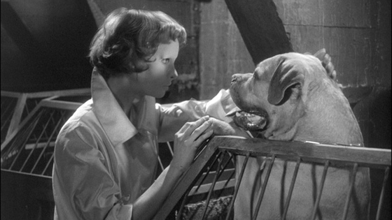 Les yeux sans visage (1959)