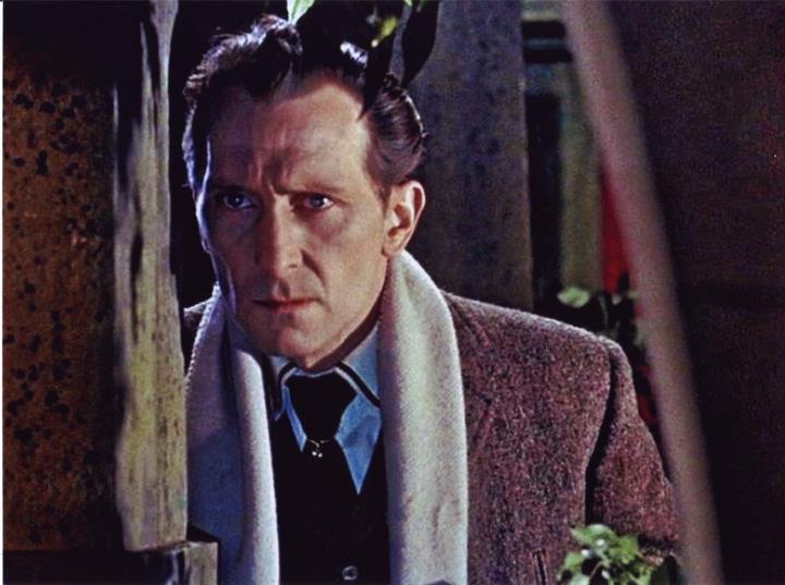 Les Maîtresses de Dracula