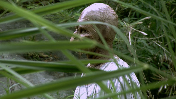 Monsters in the Woods