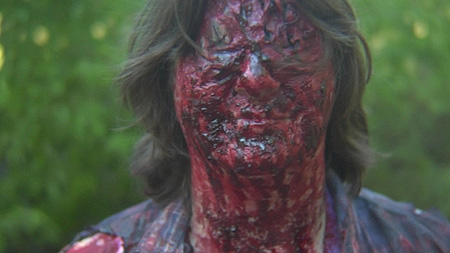 THE SKY WAS FALLEN (2007)