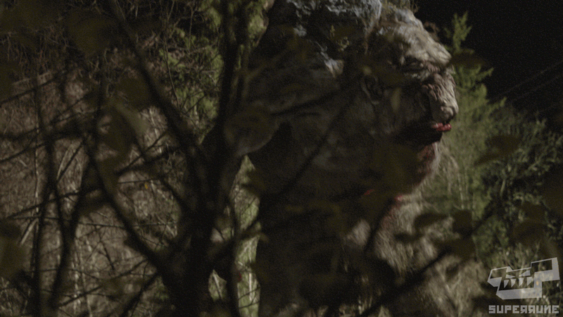 cliquer sur la photo