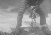 LA CREATURE EST PARMI NOUS