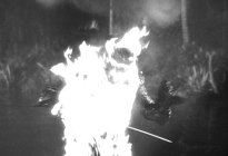 LA CREATURE EST PARMI NOUS