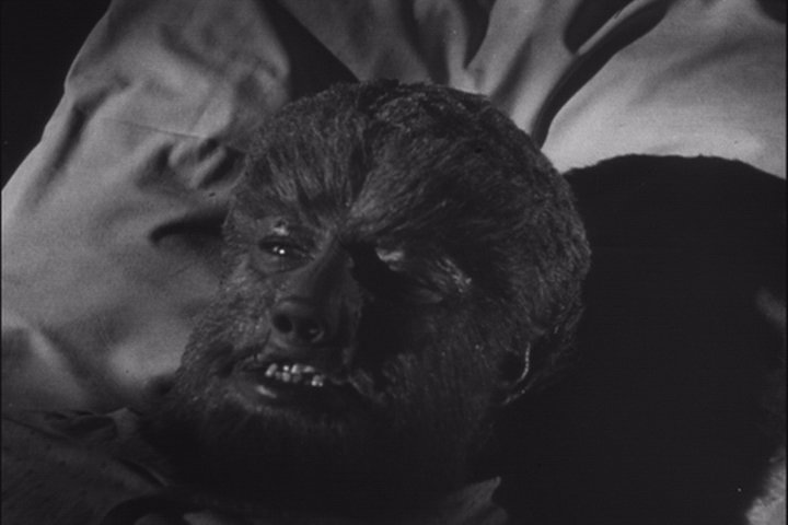 FRANKENSTEIN RENCONTRE LE LOUP-GAROU