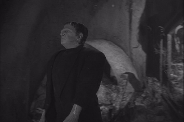 FRANKENSTEIN RENCONTRE LE LOUP-GAROU