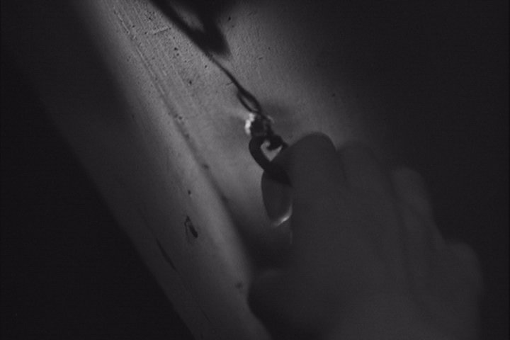 FRANKENSTEIN RENCONTRE LE LOUP-GAROU