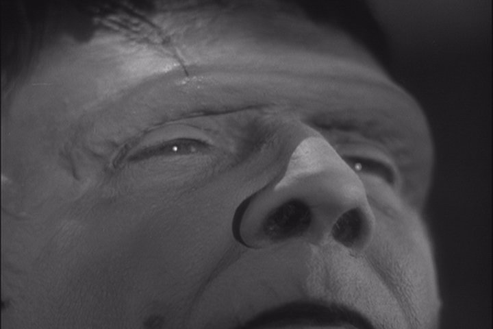 FRANKENSTEIN RENCONTRE LE LOUP-GAROU